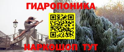Альфа ПВП Нальчик